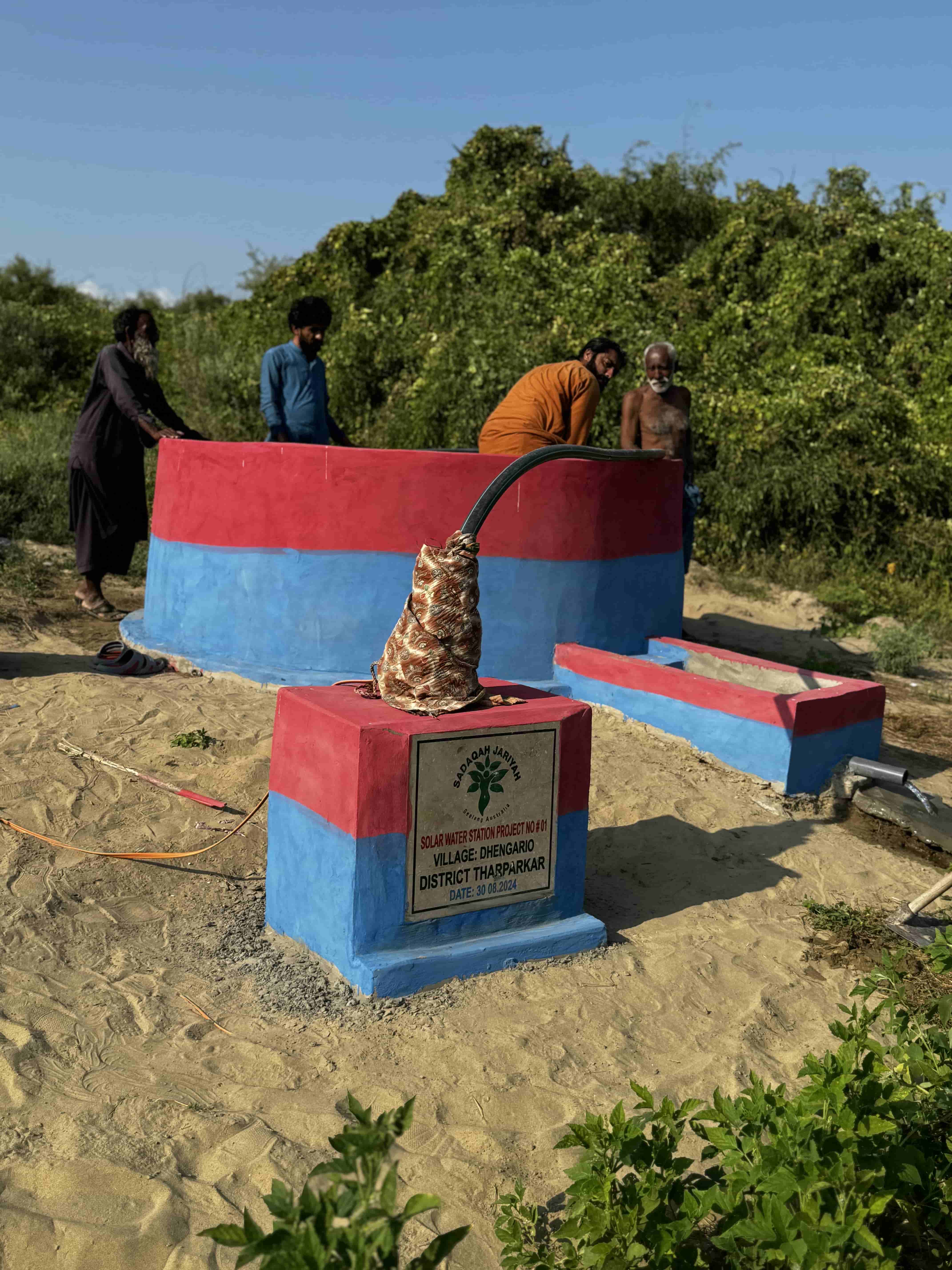 Agricultural Solar Water Pump